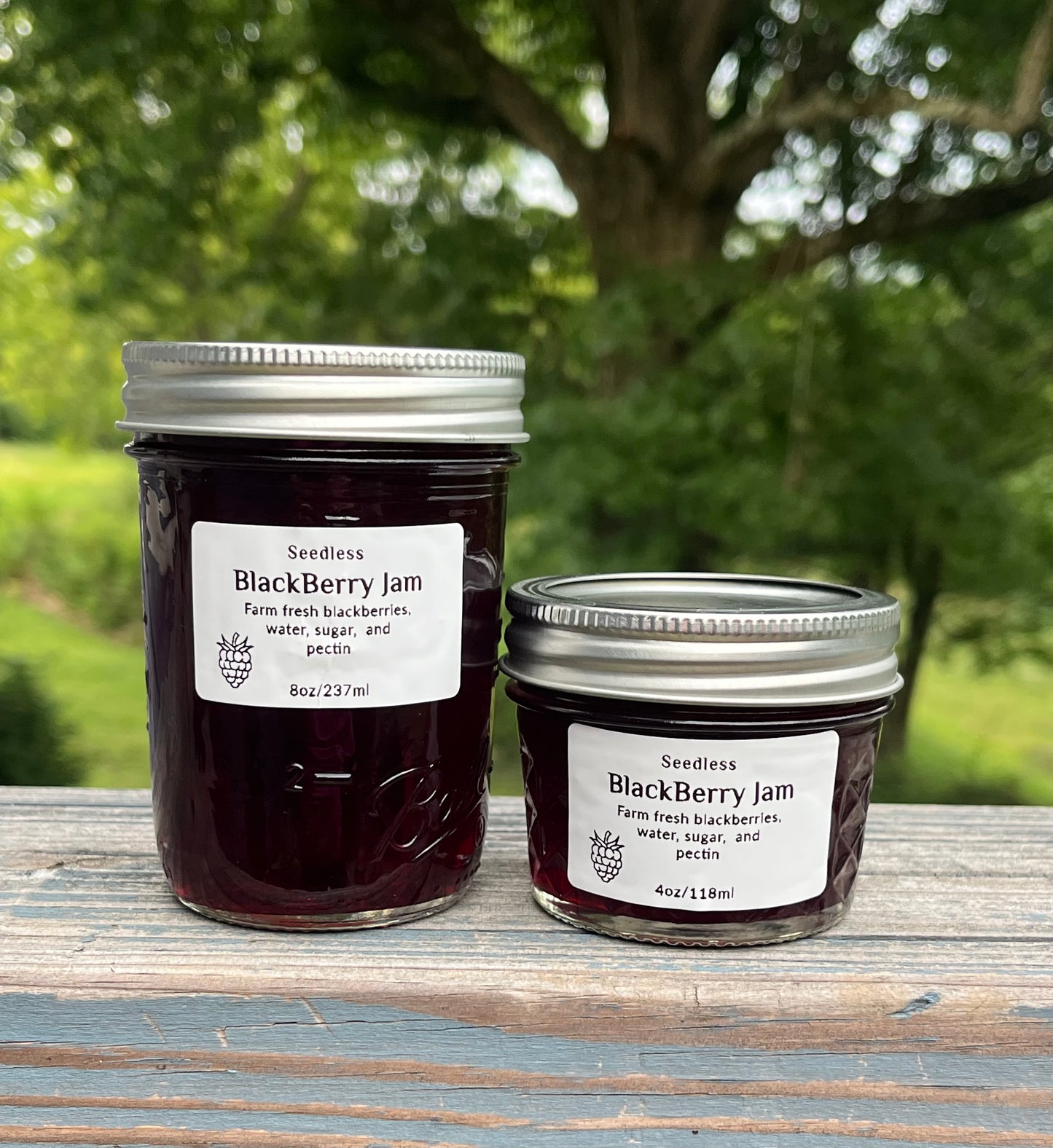 Seedless Blackberry Jam
