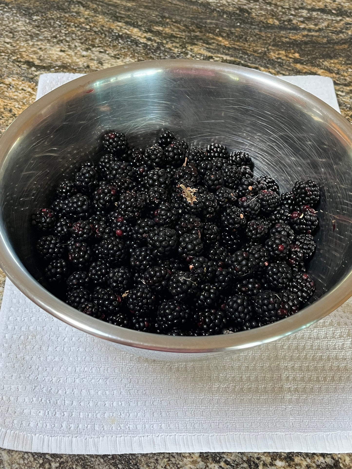 Seedless Blackberry Jelly